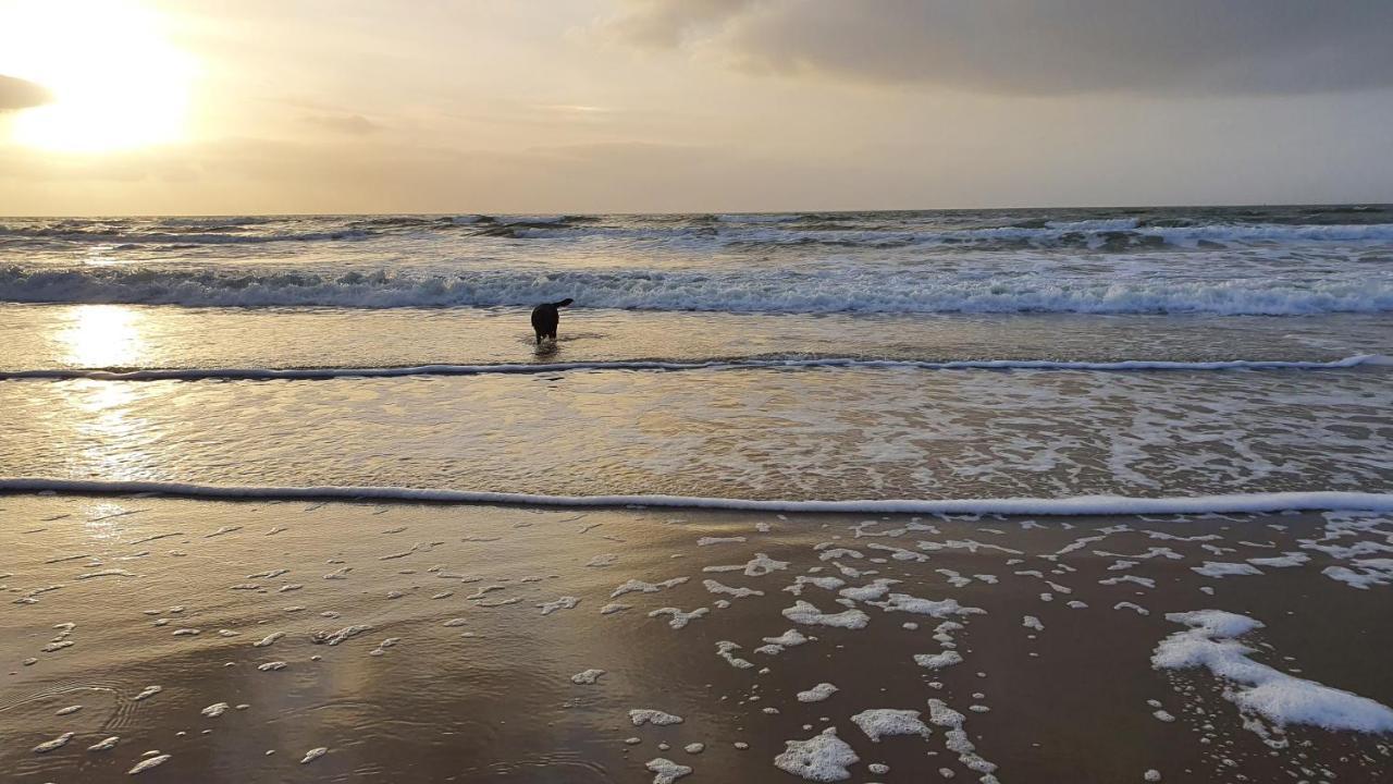 Luxe Zomerwoning Met Omheinde Tuin Voor Hond En Kinderen Dirkshorn Bagian luar foto