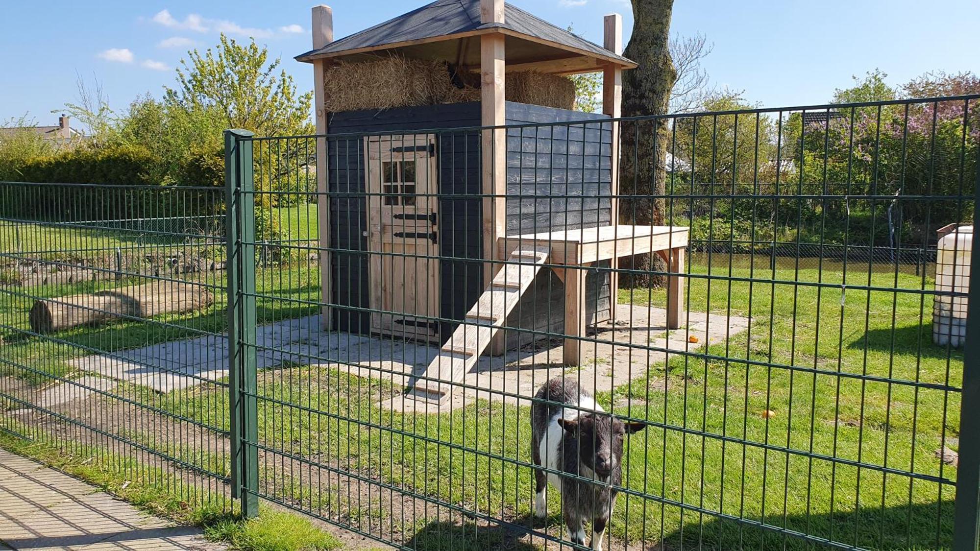 Luxe Zomerwoning Met Omheinde Tuin Voor Hond En Kinderen Dirkshorn Bagian luar foto