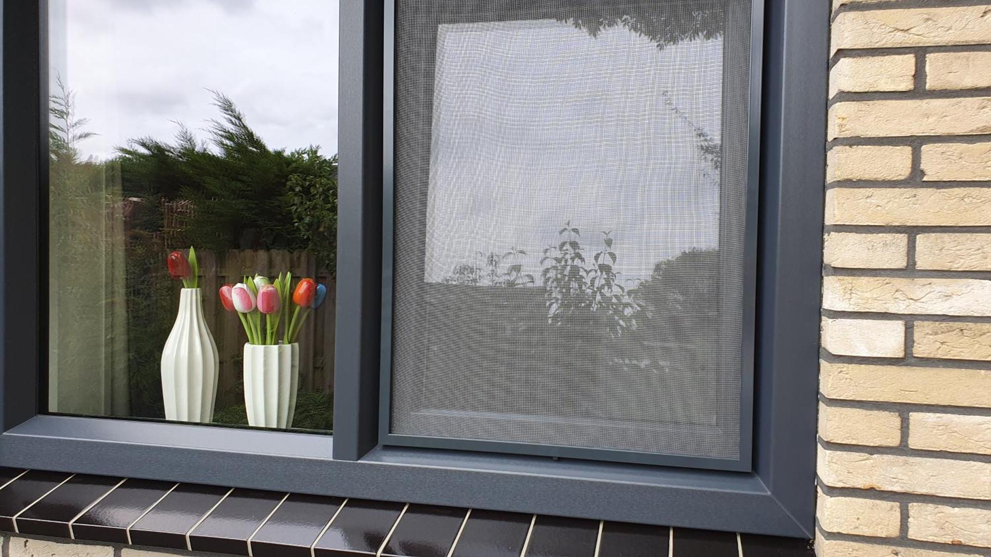 Luxe Zomerwoning Met Omheinde Tuin Voor Hond En Kinderen Dirkshorn Bagian luar foto